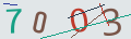 verifycode